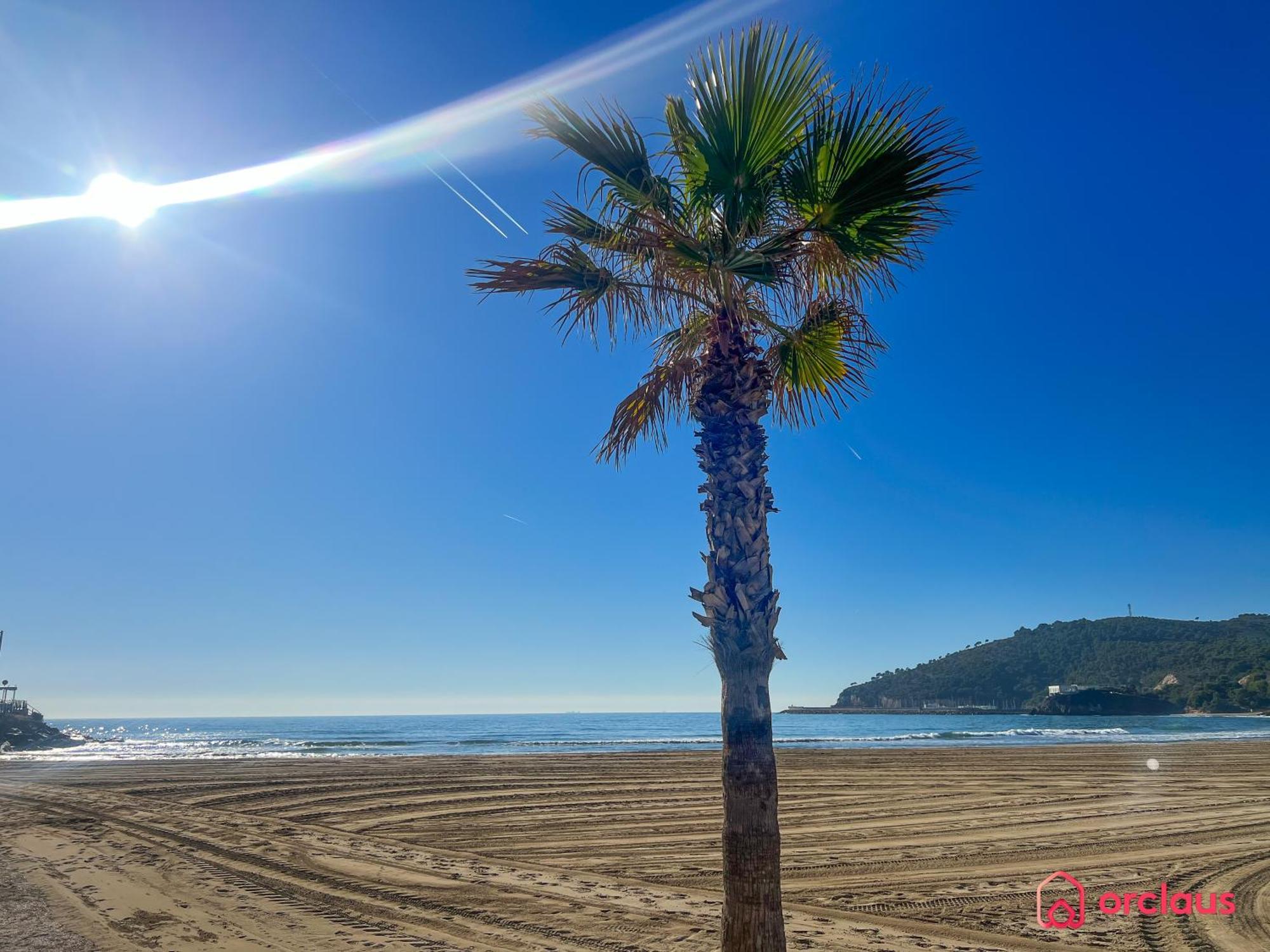 Ferienwohnung Cala Concha Oropesa del Mar Exterior foto